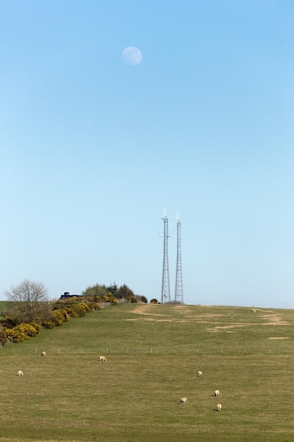 5G Expansion: Mobile Gaming and Streaming Revolution in Rural US?