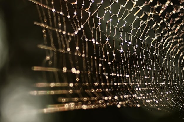 A close-up shot of a blockchain network visualization, with interconnected nodes representing the secure and transparent ledger system that underpins digital collectibles.