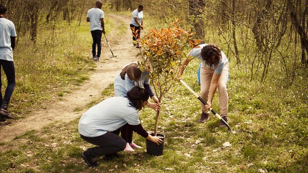 A wide shot of volunteers in a park, planting trees as part of a citizen science project focused on reforestation. They are using shovels and wearing gloves, with saplings ready to be planted. The sun is shining, and the scene is uplifting and green.